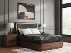 Floridian Furniture - Ashley Furniture - Millennium 2.0 Foam 12 Inch Mattresses - Twin XL / Black - M31171