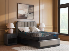 Floridian Furniture - Ashley Furniture - Millennium 2.0 Hybrid 14 Inch Mattresses - Twin XL / Black - M31471