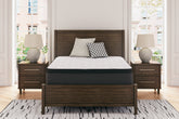 Floridian Furniture - Ashley Furniture - Limited Edition PT Mattresses - California King / White - M41251