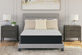 Floridian Furniture - Ashley Furniture - Palisades Firm Mattresses - California King / Gray/Blue - M41551