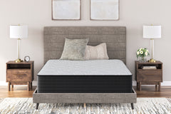 Floridian Furniture - Ashley Furniture - Palisades Plush Mattresses - California King / Gray/Blue - M41651