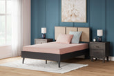 Floridian Furniture - Ashley Furniture - iKidz Coral Mattresses - Twin and Pillow 2/CN / Coral - M43111