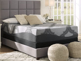 Floridian Furniture - Ashley Furniture - 1100 Series Mattresses - Twin / Gray - M52611