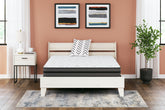 Floridian Furniture - Ashley Furniture - 10 Inch Pocketed Hybrid Mattresses - Twin / White - M58911