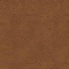 Emilia Sectional