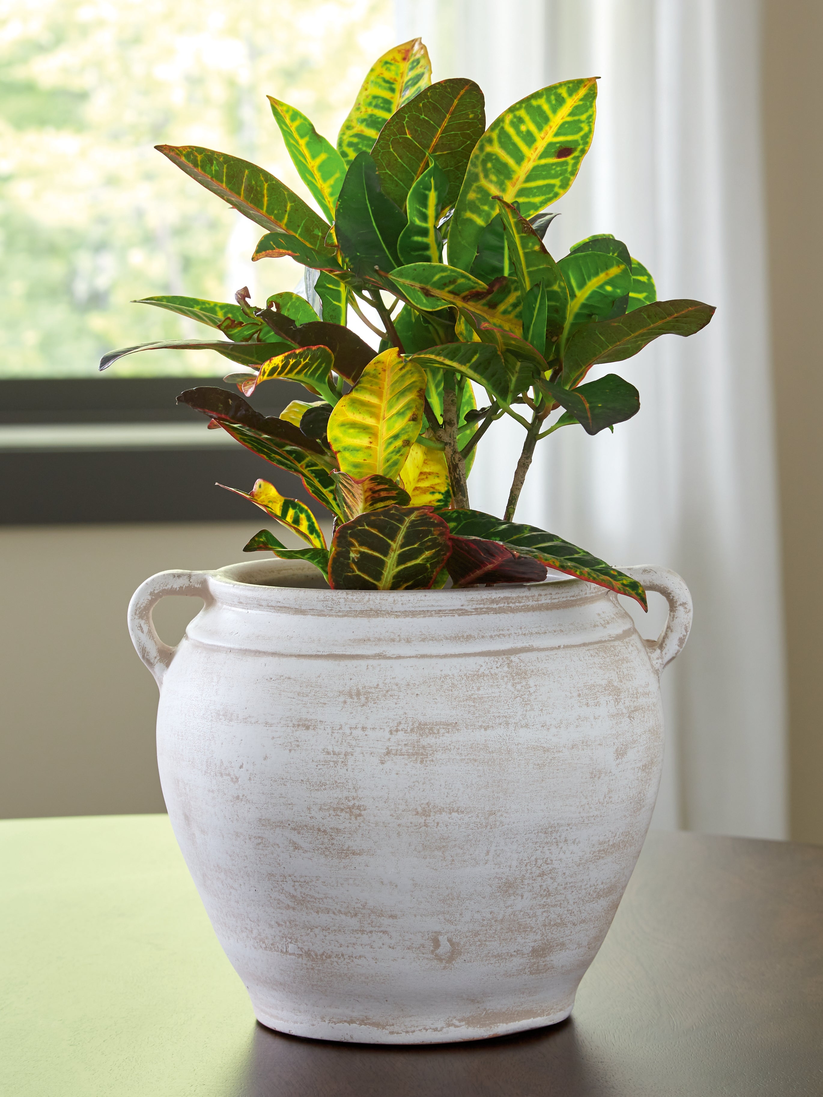 Floridian Furniture - Ashley Furniture - Meadie Vase - Vase / Distressed White - A2000787
