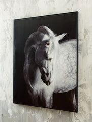 Floridian Furniture - Ashley Furniture - Archerwick Wall Decor - Wall Art / Black/White - A8000409