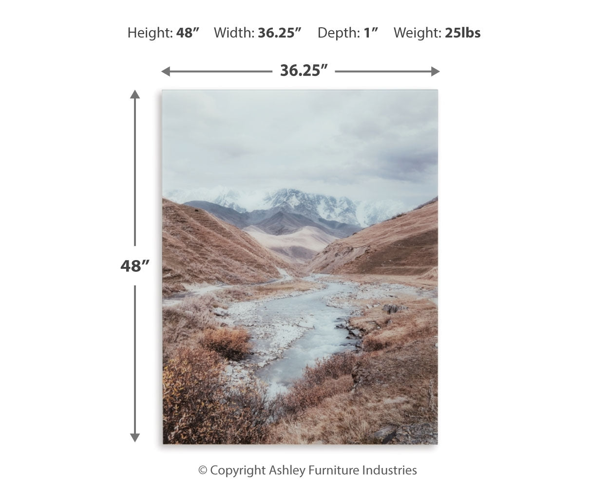 Darinby Wall Decor