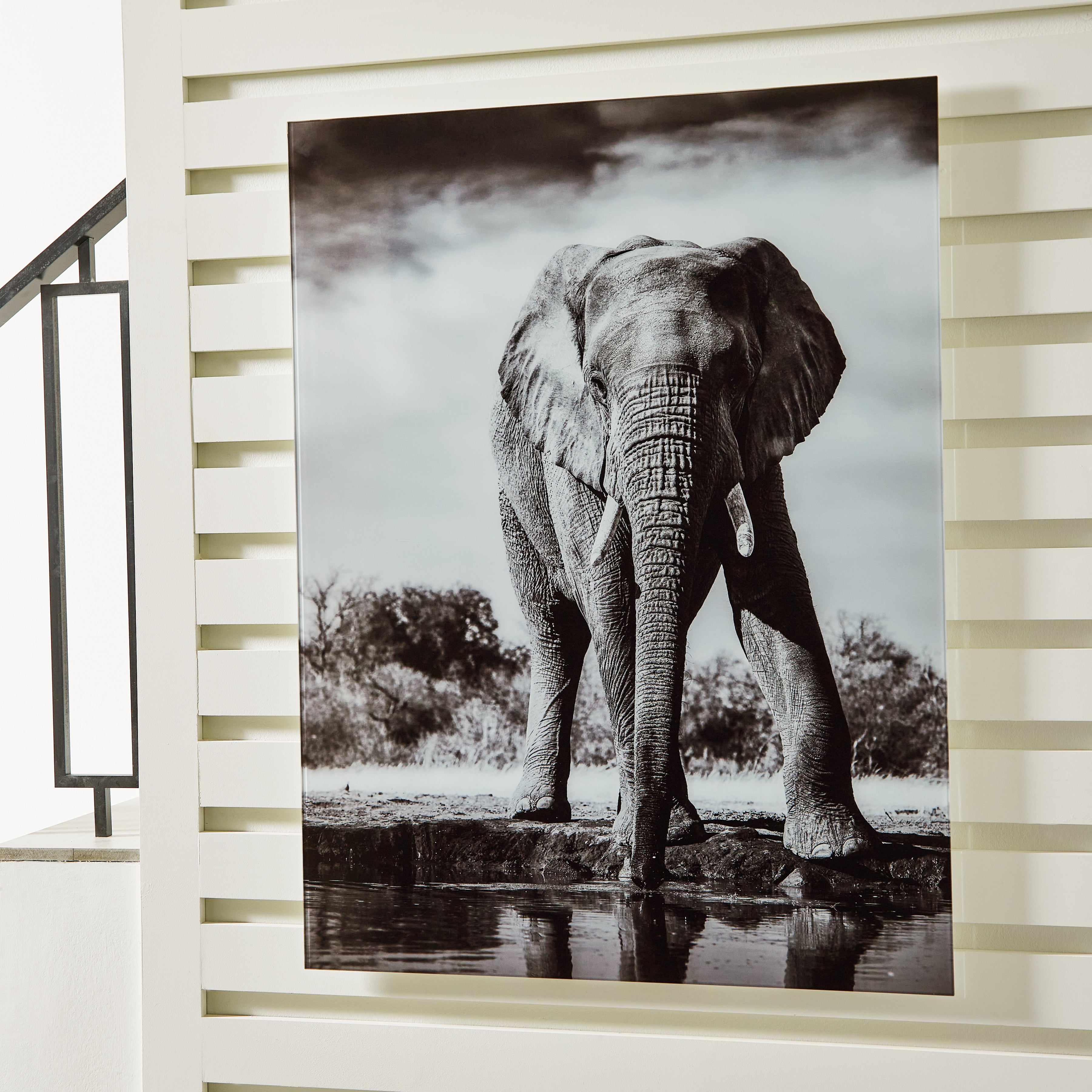 Floridian Furniture - Ashley Furniture - Glinyard Wall Decor - Wall Art / Black/White - A8000421