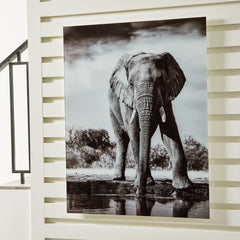 Floridian Furniture - Ashley Furniture - Glinyard Wall Decor - Wall Art / Black/White - A8000421