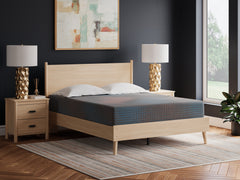 Floridian Furniture - Ashley Furniture - 13 Inch Hybrid Hot Buy Mattresses - Queen / Multi - M20731